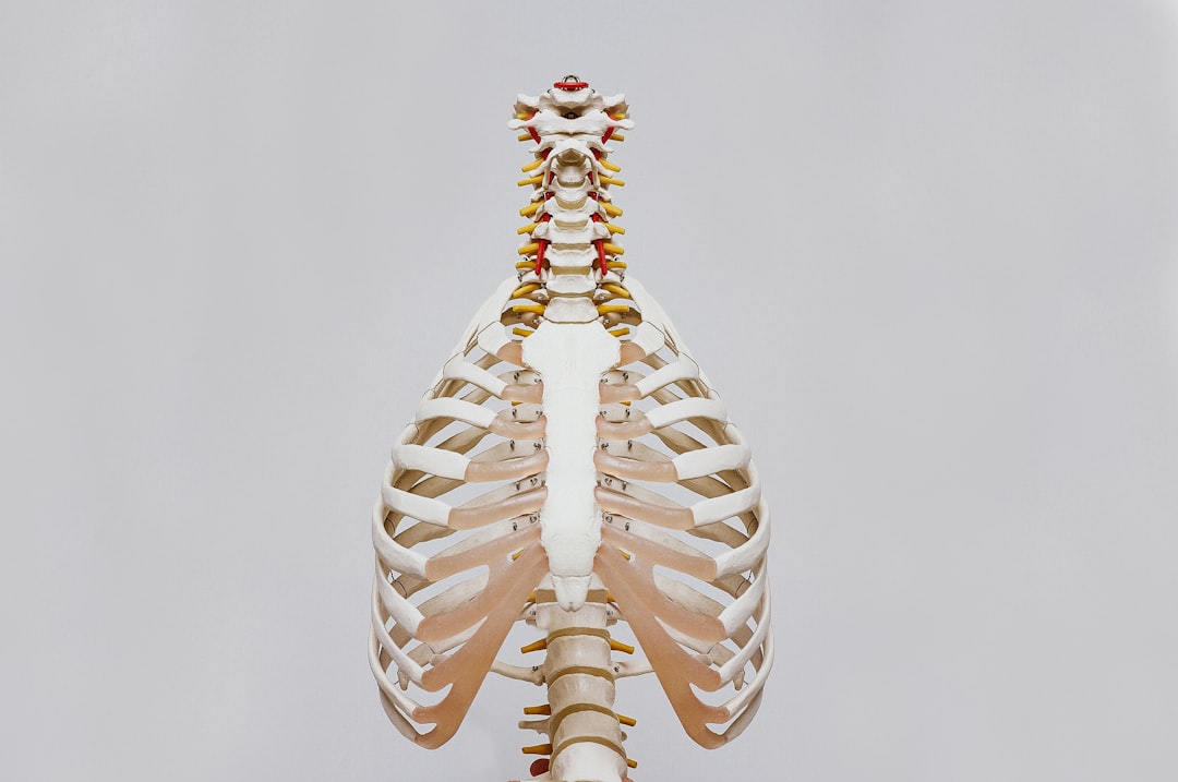 Pilates For Shoulder Impingement: How To Improve Scapular Control And Upper Body Strength