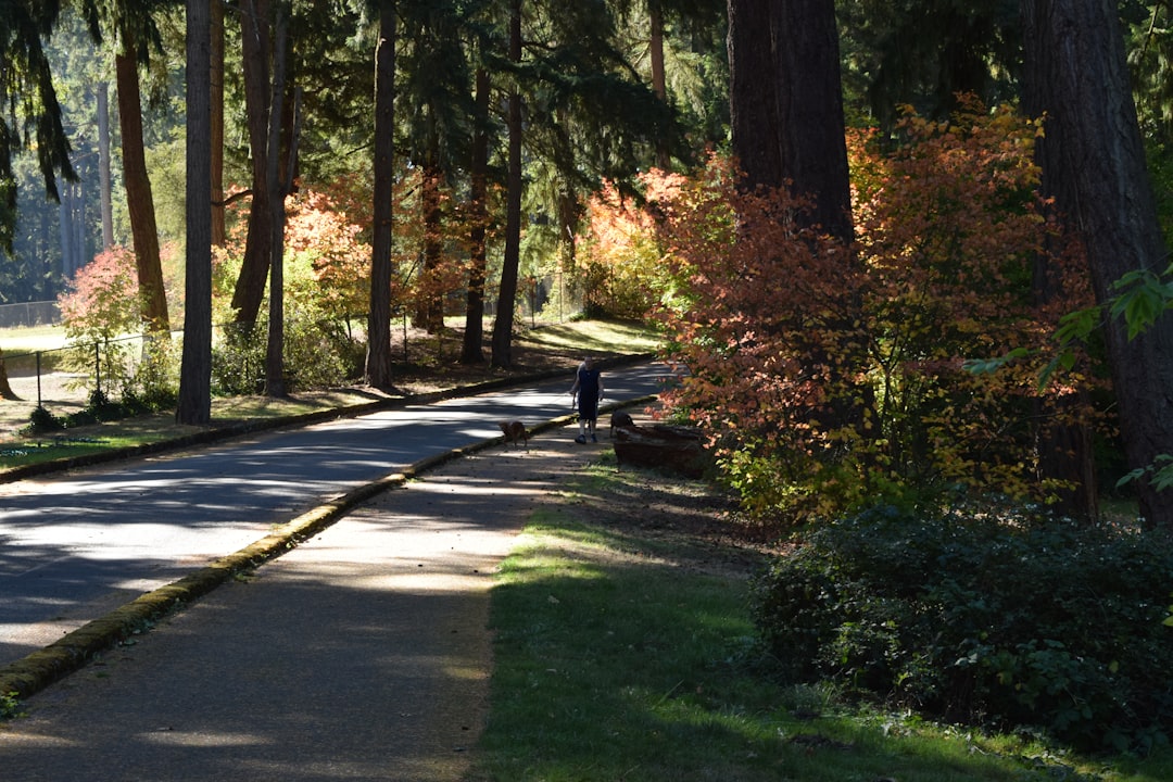 How to Reduce Injury Risk for Beginner Runners: Form, Pace, and Training Load