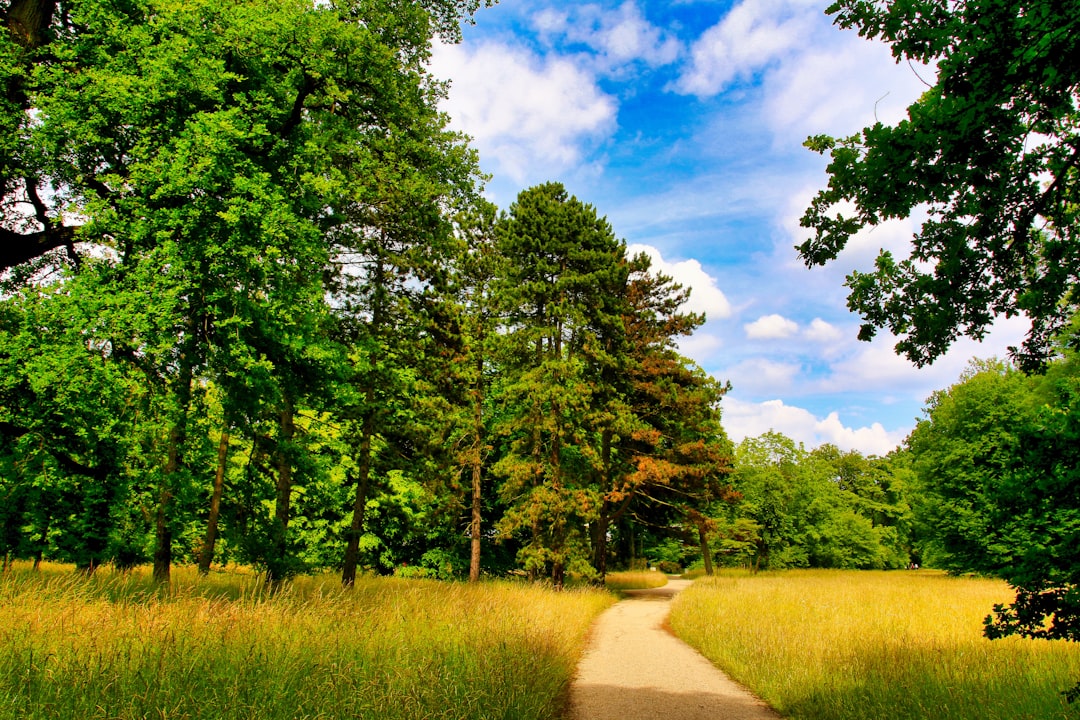 Sanssouci Park, Potsdam (Brandenburg): a विशाल landscape park on the UNESCO list; you can walk among tree-lined paths, pools, and Prussian architecture