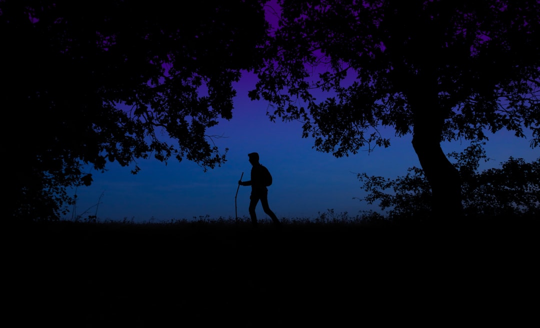 How to Balance Blood Sugar: Nutrition and Daily Habits