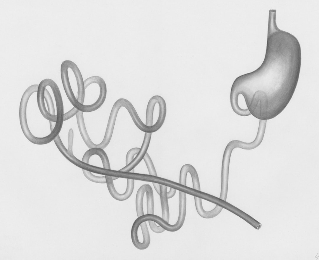 How to Strengthen the Gut Microbiome: Fiber, Fermented Foods, and Lifestyle Strategies