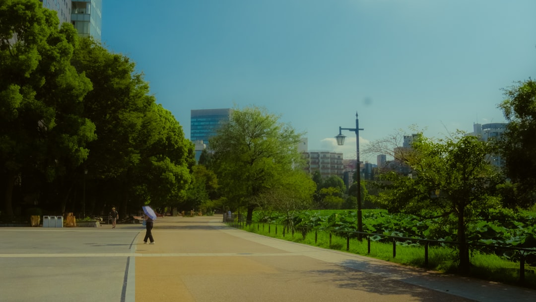A clear and bright summer sky near Shinobazu Pond.